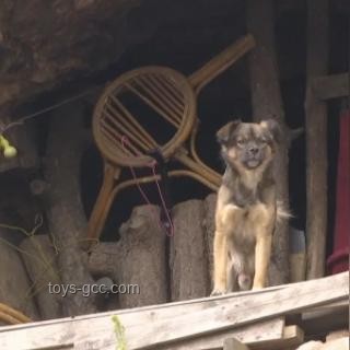 35岁小伙不结婚，爆改山洞隐居4年：打造个人世外桃源实用指南