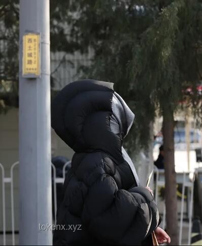 黄杨钿甜艺考合格背后的录取真相：深度解析艺考生态